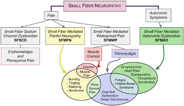 Symptom distribution chart for small fiber neuropathy